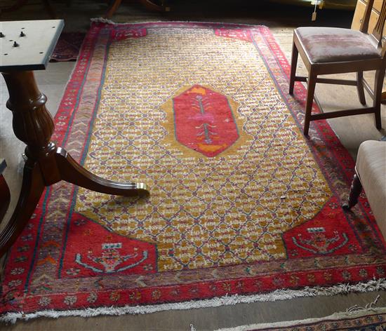 Red & yellow Eastern rug(-)